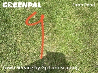 Lawn Maintenance nearby Charlotte, NC, 