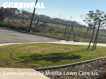 Lawn mowed in Roseville, 95747