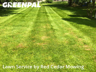 Yard Cutting nearby Lansing, MI, 