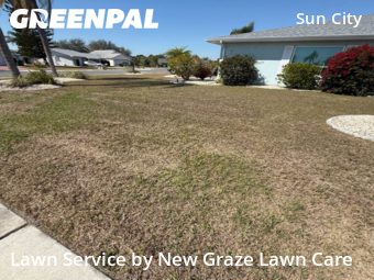 Grass Cutting nearby Sun City Center, FL, 