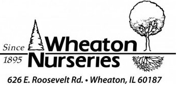 Best Nursery in Naperville Illinois 1