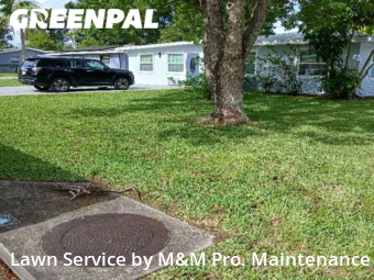 Lawn Cutting nearby Pinellas Park, FL, 