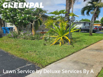 Grass Cuttingin Sunrise,33322,Grass Cutting by Deluxe Services By A, work completed in Dec , 2025