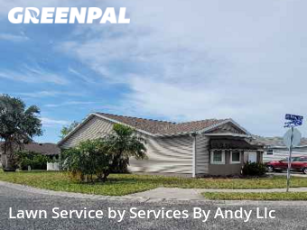 Grass Cut nearby Oldsmar, FL, 