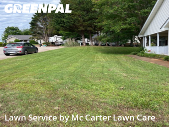 Yard Cutting nearby Greer, SC, 