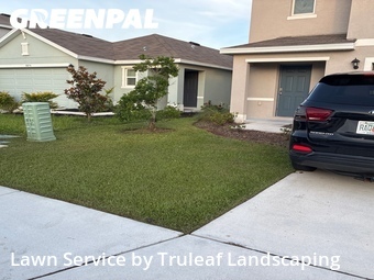 Lawn Cutting nearby Parrish, FL, 