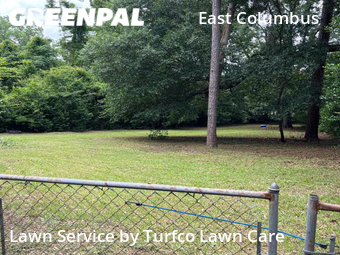 Lawn Care Service nearby Columbus, AL, 