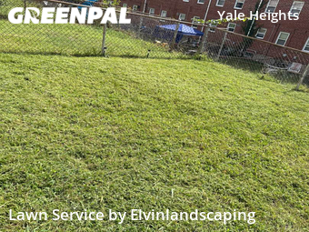 Lawn Cutting nearby Baltimore, MD, 