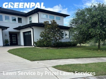 Lawn Cuttingin Sugar Land,77479,Lawn Mowing by Prizel Lawn Services, work completed in Jul , 2026