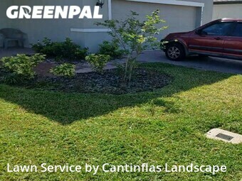 Lawn Care nearby Davenport, FL, 