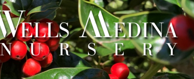 Best Nursery in Bellevue Washington 1