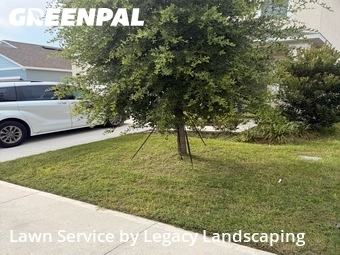 Lawn Maintenance nearby Davenport, FL, 