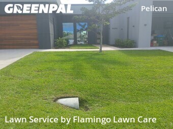 Grass Cut nearby Cape Coral, FL, 