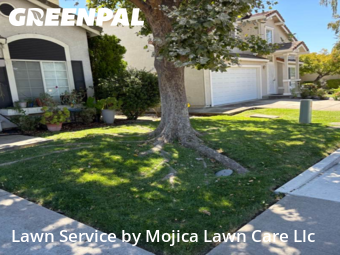 Work completed by local-lawn-and-landscape-maintenance-services-near-me-in-Elk Grove-CA