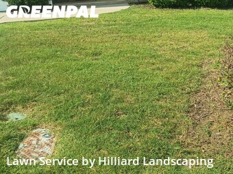 Lawn Cut nearby Augusta, GA, 
