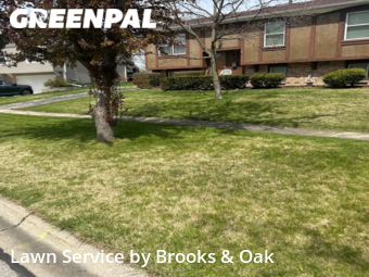 Lawn Care Service nearby Woodridge, IL, 