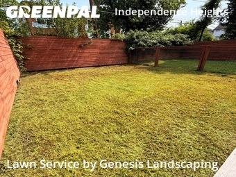 Lawn Care nearby Houston, TX, 