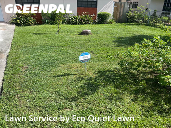 Lawn Mow nearby West Park, FL, 