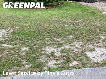 Lawn Mowing Service nearby Valdosta, GA, 