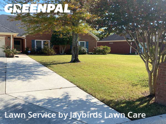 Lawn Cut nearby Decatur, AL, 