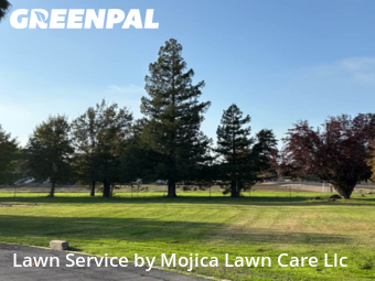 Work completed by lawn-care-experts-in-Elk Grove-CA