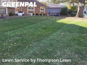 Lawn Cuttingin Olathe,66061,Lawn Cut by Thompson Lawn, work completed in Dec , 2025