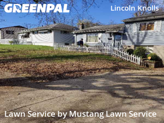 Yard Cutting nearby Youngstown, OH, 