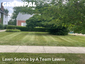 Lawn Cut nearby Euclid, OH, 