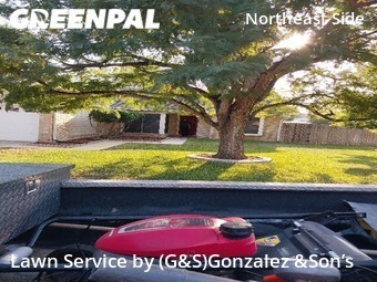 Grass Cutting nearby Converse, TX, 