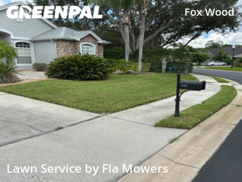 Lawn Maintenance nearby Trinity, FL, 