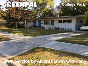 Yard Cuttingin Orlando,32804,Lawn Care by Alvarez Lawn Company, work completed in Jan , 2026