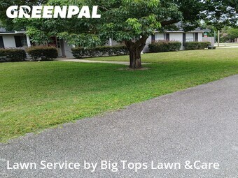 Lawn Cut nearby Longwood, FL, 