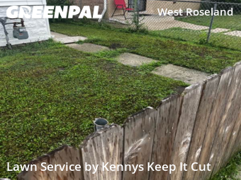 Grass Cut nearby Chicago, IL, 