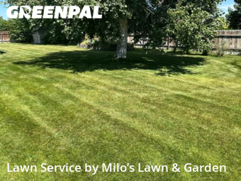 Work completed by cheap-lawn-cutting-businesses-in-Richland-CA