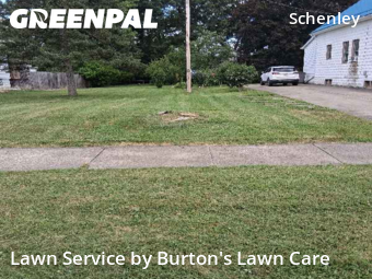 Yard Cutting nearby Youngstown, OH, 