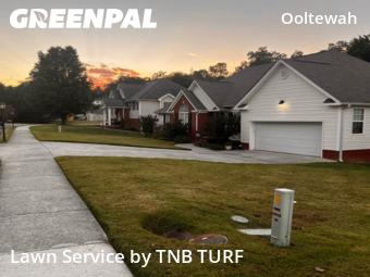 Yard Mowing nearby Ooltewah, TN, 
