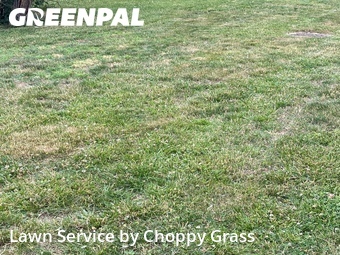 Lawn Care nearby Verona, NJ, 