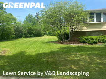 Yard Cutting nearby Schaumburg, IL, 