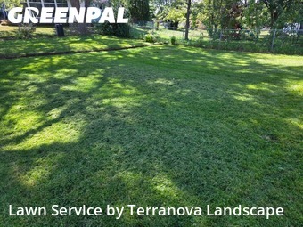 Lawn Work in Streamwood, 60107, Mowing Services by Terranova Landscape, work completed in Nov , 2025