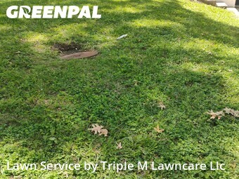 Lawn Service nearby Independence, MO, 