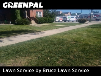 Yard Mowing nearby Broadview, IL, 