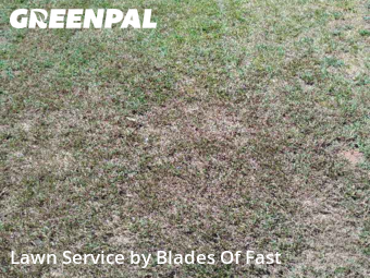 Lawn Care nearby East Point, GA, 