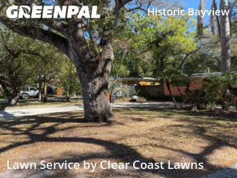 Grass Cutin Clearwater,33759,Lawn Care by Clear Coast Lawns, work completed in Mar , 2026