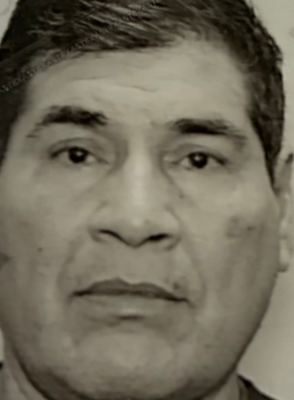 Landscaping services near me-Arlington-TX