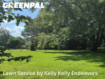 Grass Cutting nearby Huntsville, AL, 