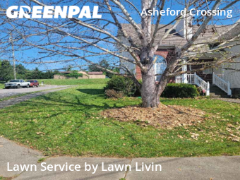 Yard Cutting nearby Nashville, TN, 