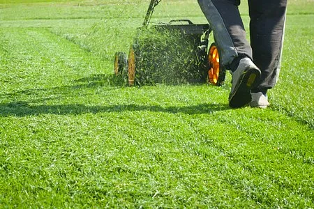 Express Lawnmower Shop Photo 4