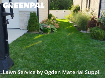 Lawn Mow nearby Elmhurst, IL, 