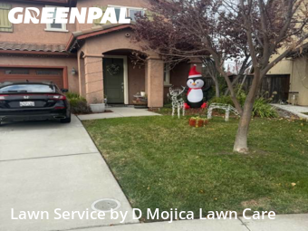 Work completed by residential-lawn-cutting-businesses-in-Elk Grove-CA
