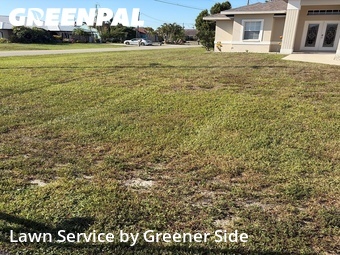 Lawn Maintenance nearby Punta Gorda, FL, 